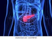 Adult Metabolic Diseases for the General&nbsp;Internist