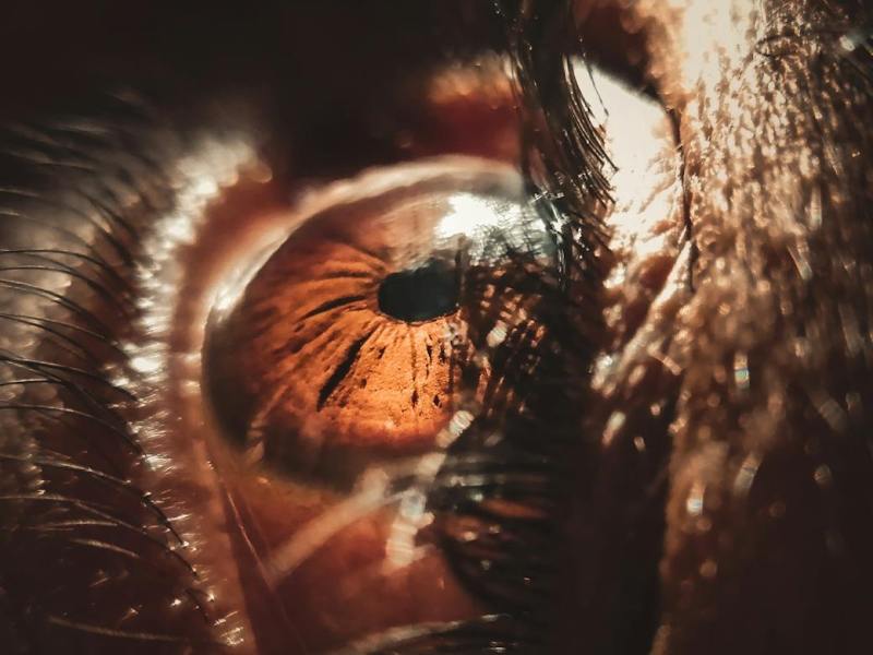 Seizures and Status&nbsp;Epilepticus